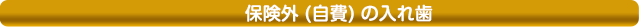 保険外 (自費) の入れ歯